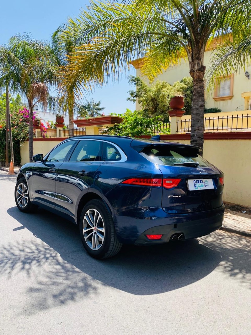 JAGUAR