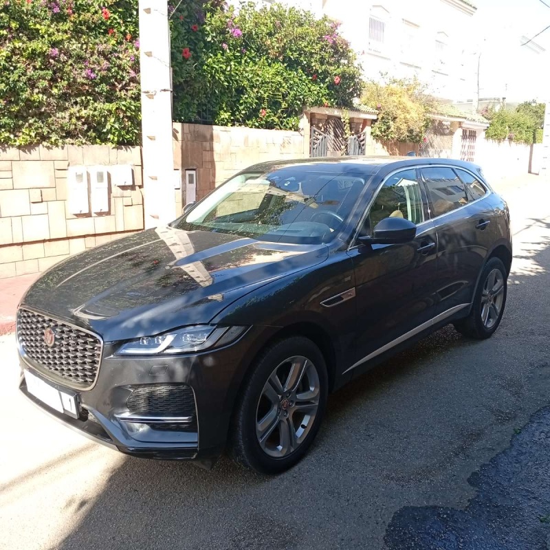 JAGUAR
