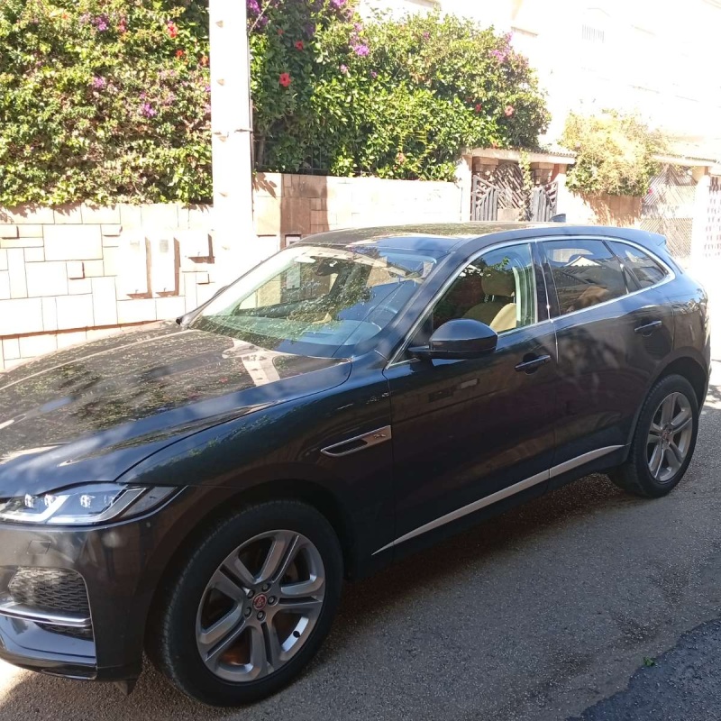 JAGUAR