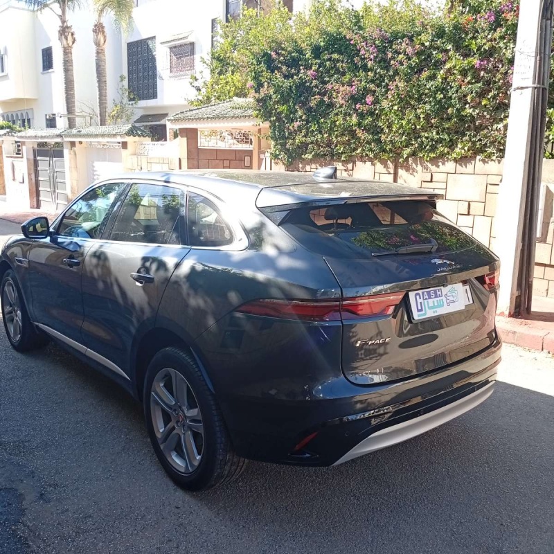 JAGUAR