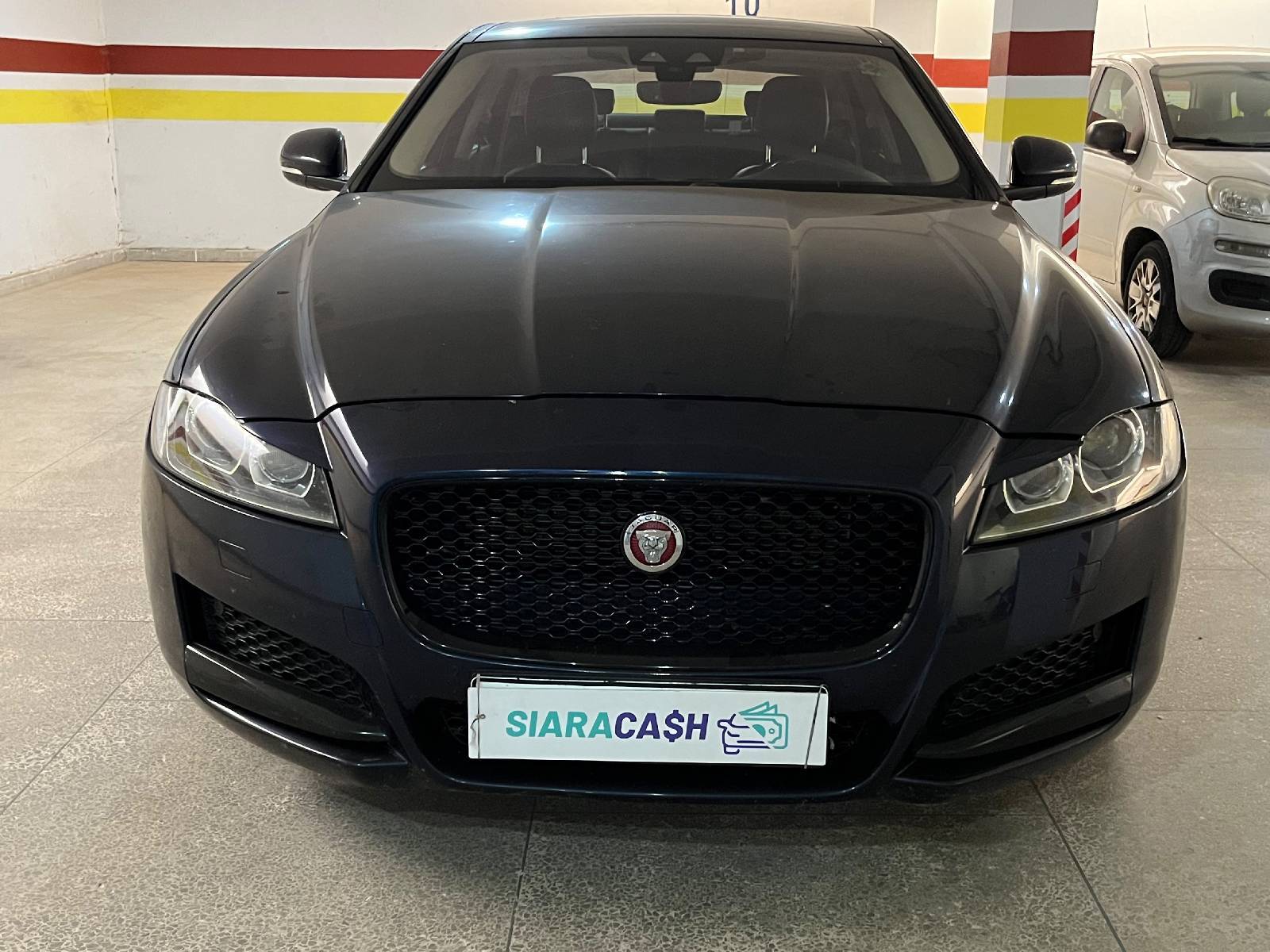 JAGUAR