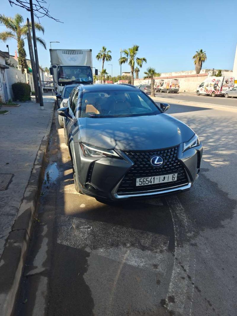 LEXUS UX