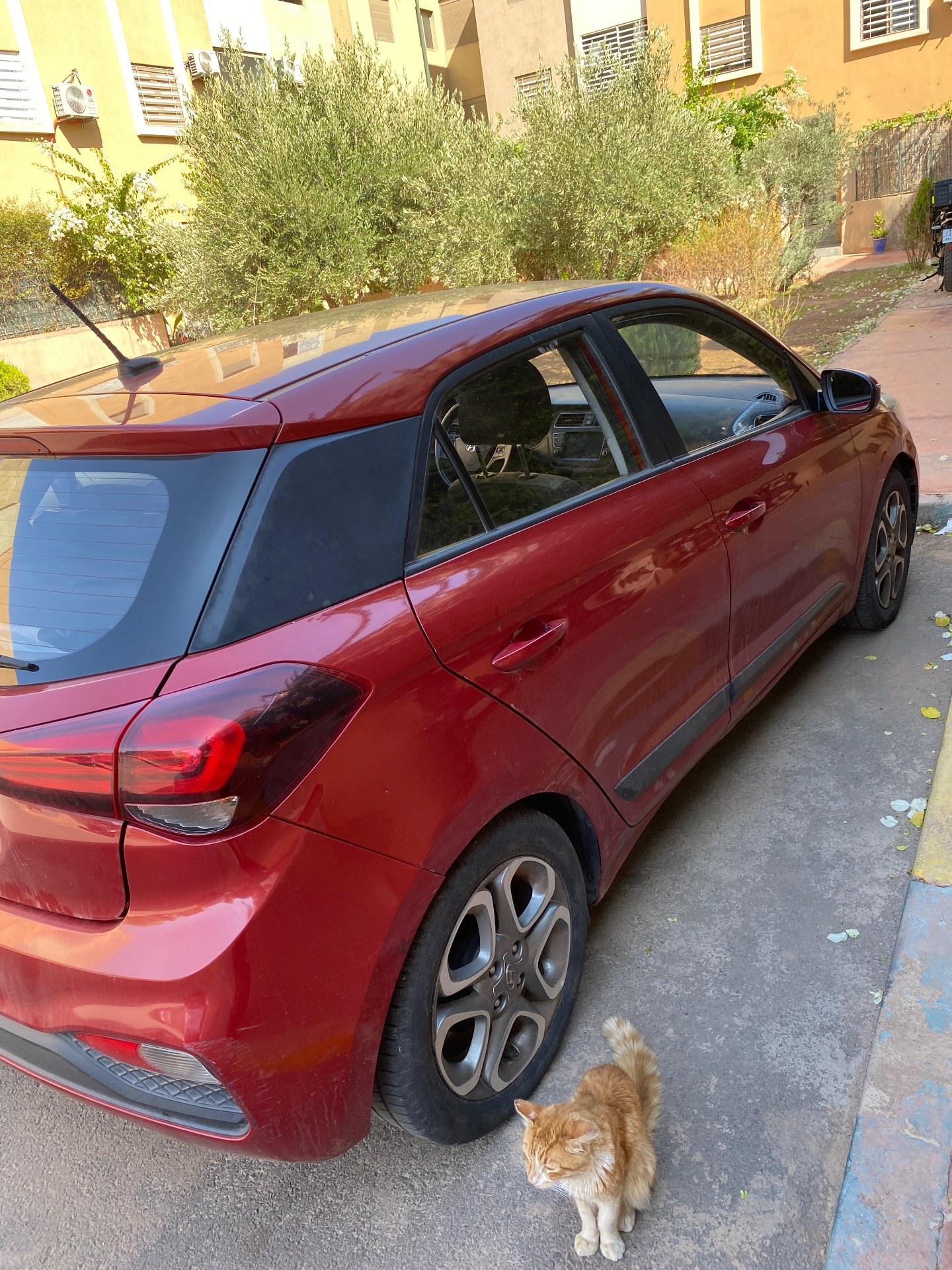 Hyundai I20 2019 — Hyundai I20