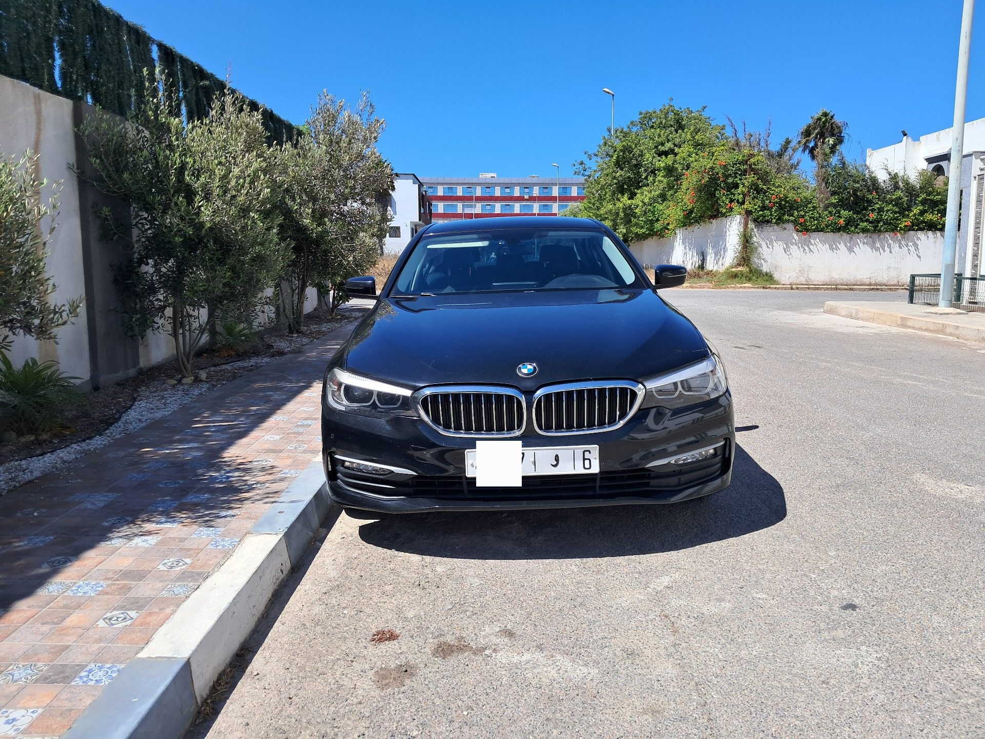 BMW Serie 5 2019